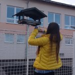 phoca_thumb_m_zajci a krmtko 38 Fotogalerie
